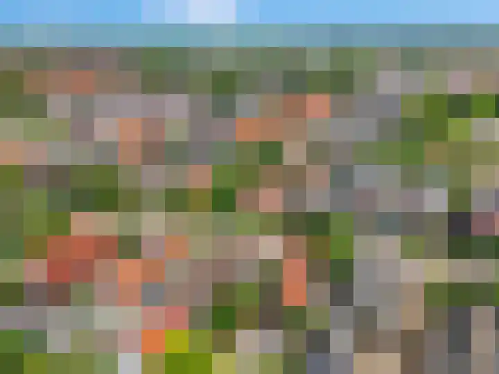 Franseweg 106 Elst Ut thumbnail 65