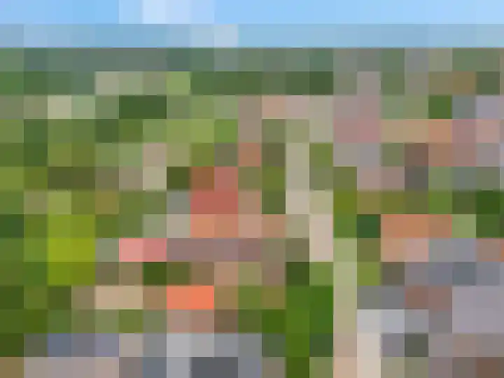 Franseweg 106 Elst Ut thumbnail 66