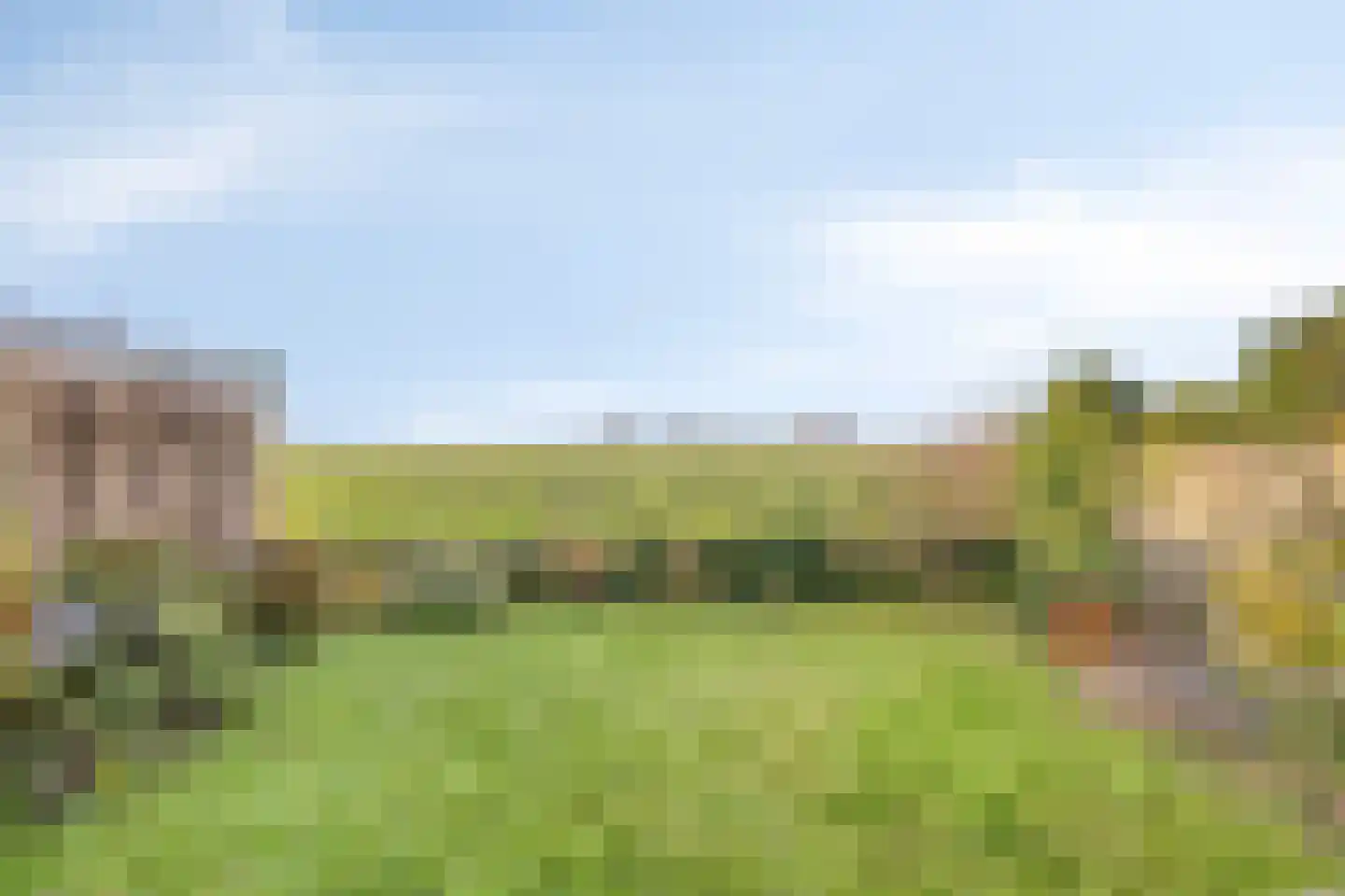 Franseweg 109 Steenbergen thumbnail 27