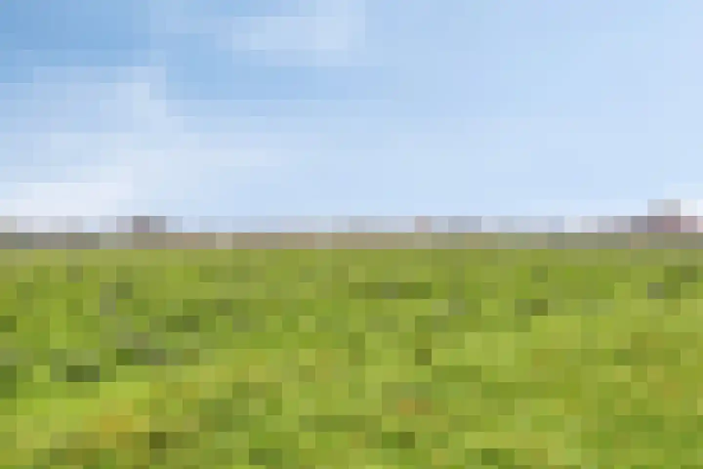 Franseweg 109 Steenbergen thumbnail 28