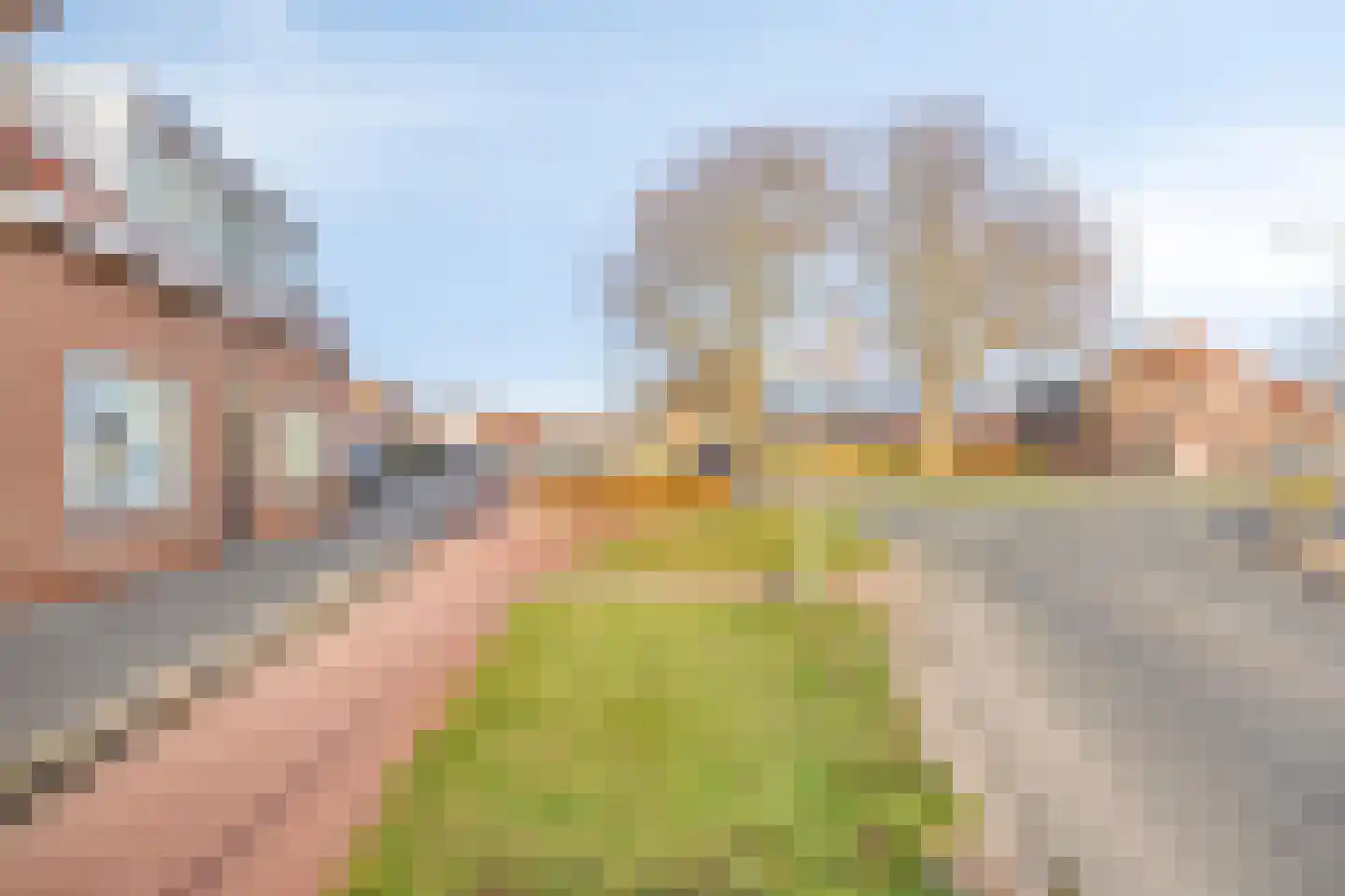 Franseweg 109 Steenbergen thumbnail 30
