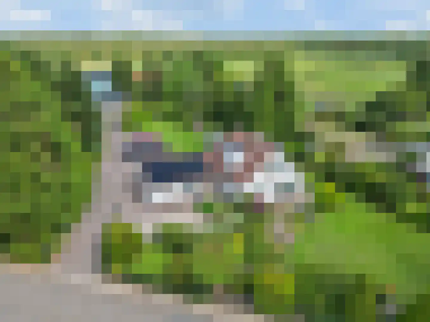 Franseweg 128 Elst Ut