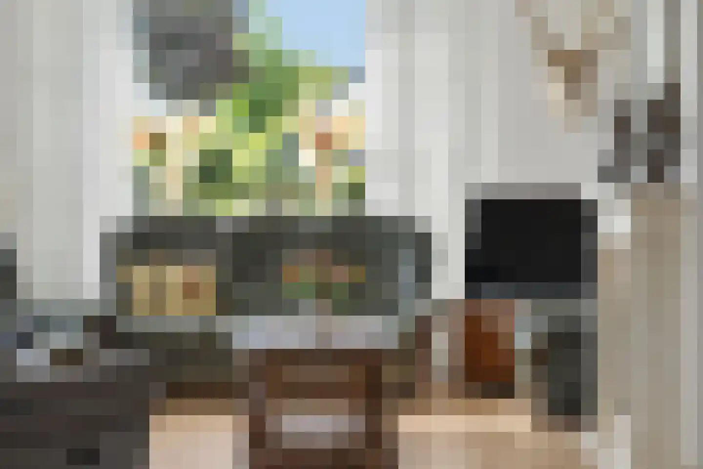 Franseweg 128 Elst Ut thumbnail 10