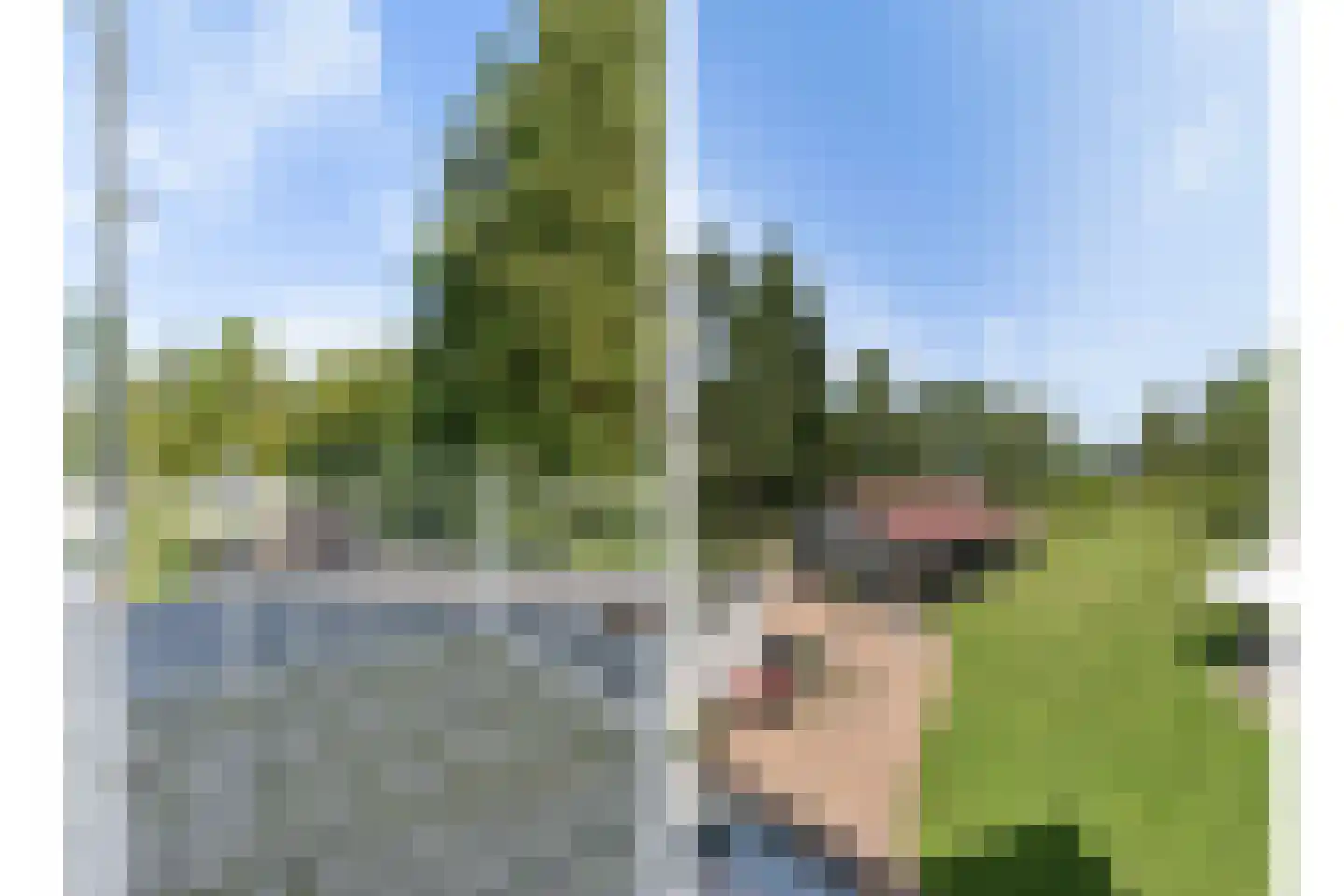 Franseweg 128 Elst Ut thumbnail 29