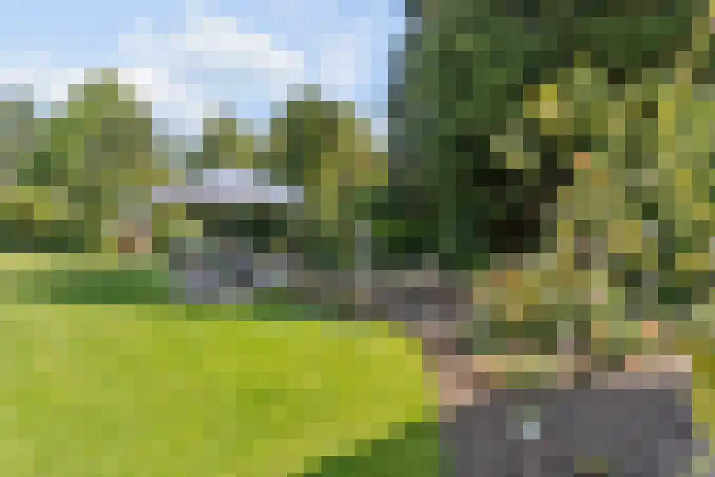 Franseweg 128 Elst Ut thumbnail 34