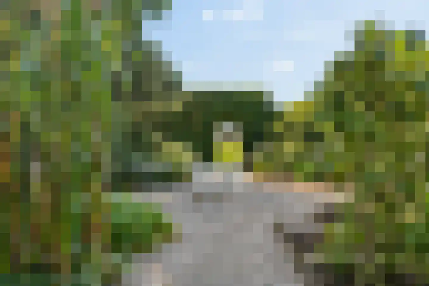 Franseweg 128 Elst Ut thumbnail 37