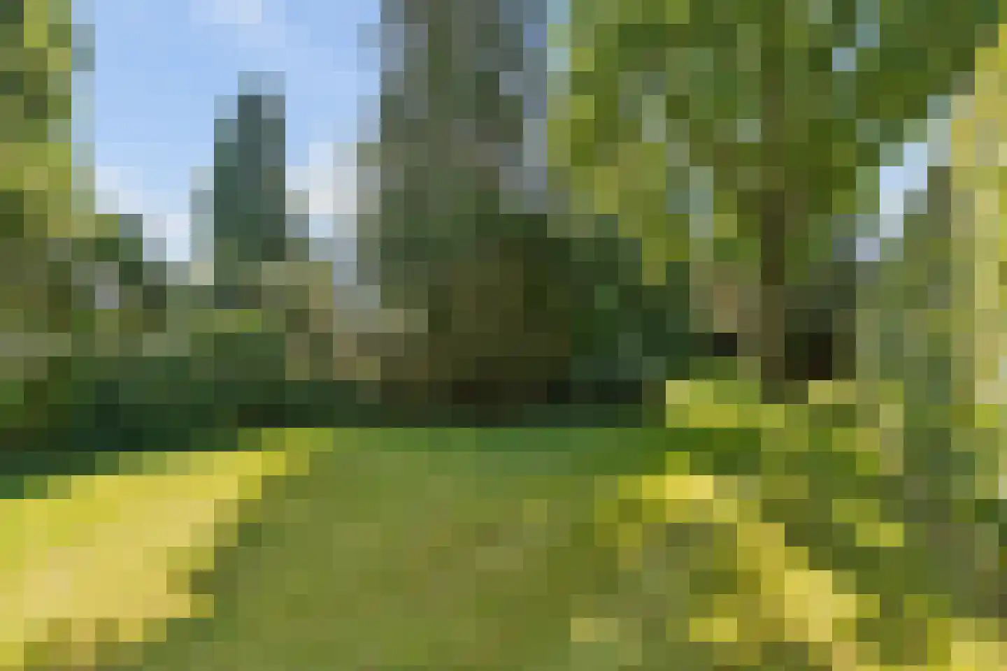 Franseweg 128 Elst Ut thumbnail 42