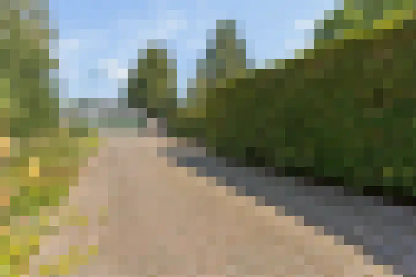 Franseweg 128 Elst Ut thumbnail 45