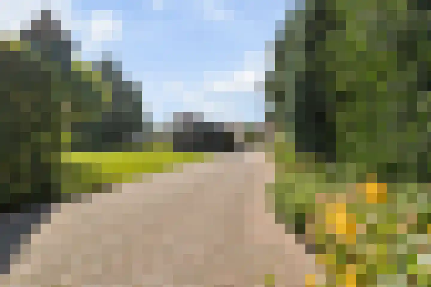 Franseweg 128 Elst Ut thumbnail 48