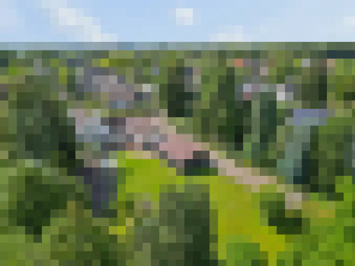Franseweg 128 Elst Ut thumbnail 49