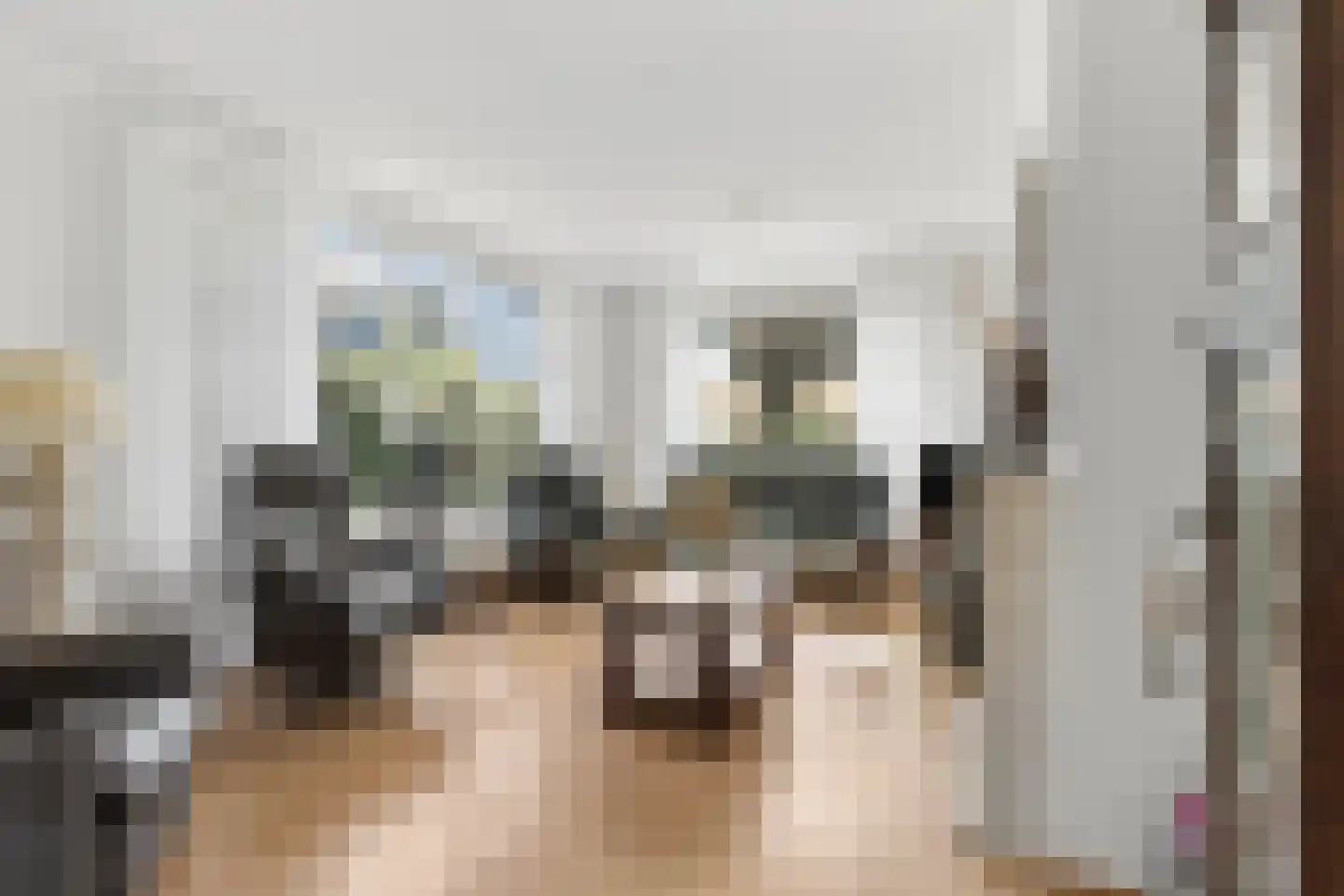 Franseweg 128 Elst Ut thumbnail 8