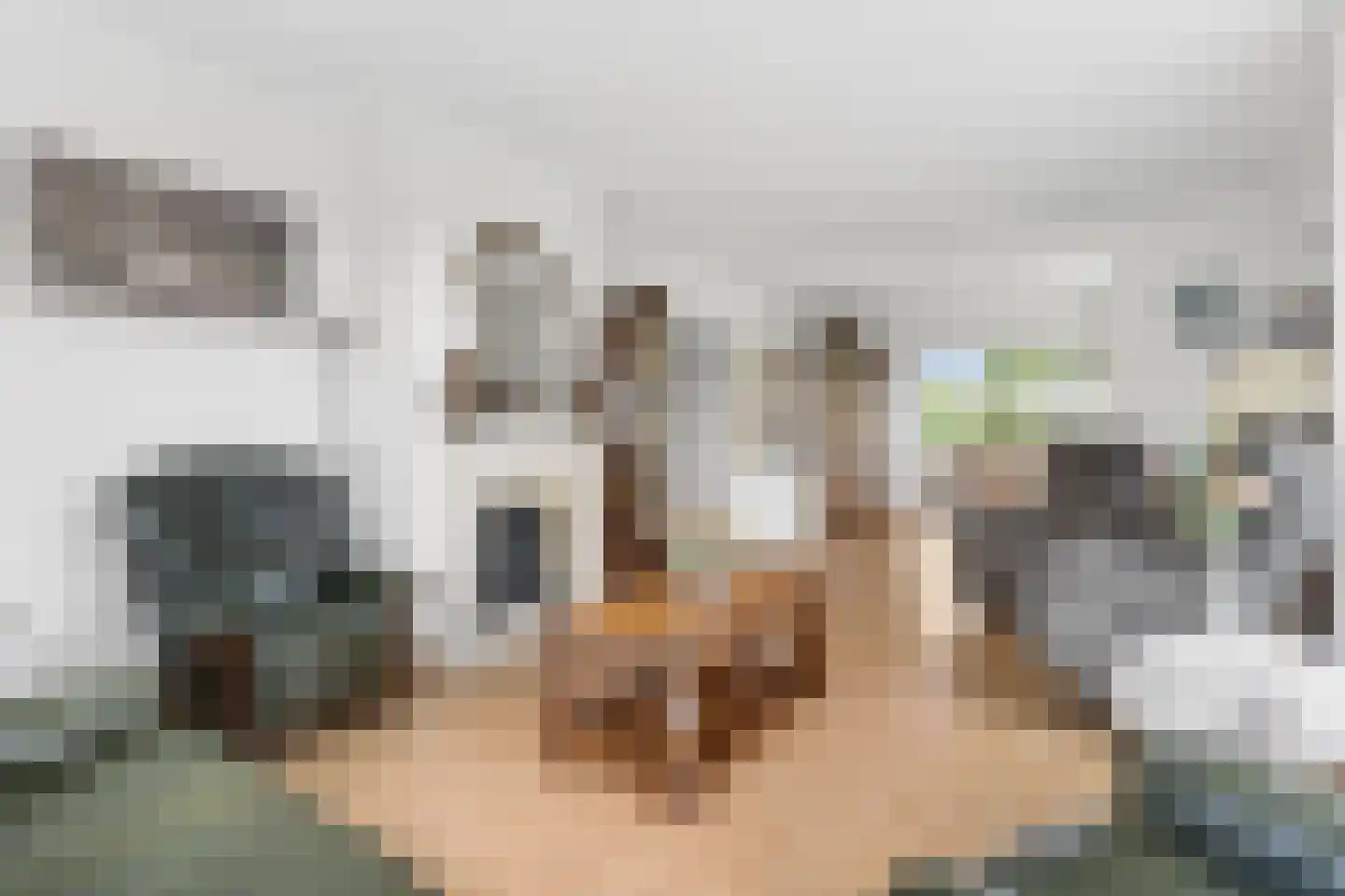 Franseweg 128 Elst Ut thumbnail 9