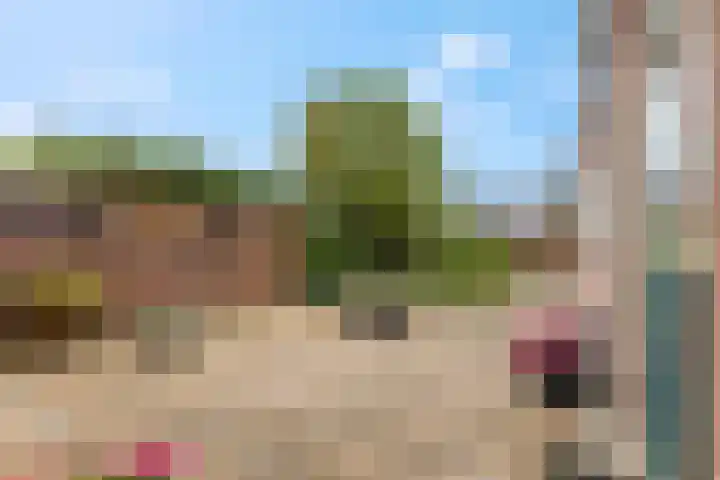 Franseweg 41 Elst Ut thumbnail 22