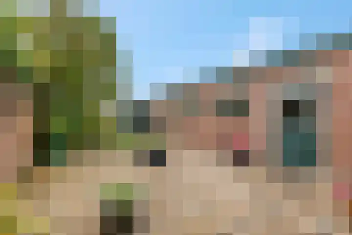 Franseweg 41 Elst Ut thumbnail 23