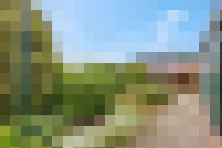 Franseweg 41 Elst Ut thumbnail 26