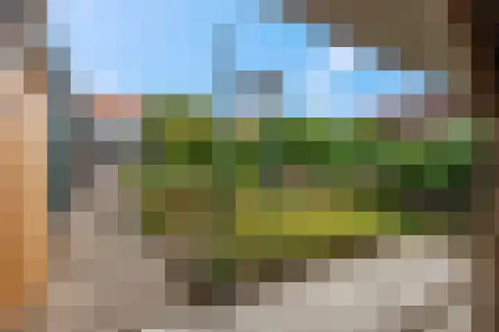 Franseweg 41 Elst Ut thumbnail 27