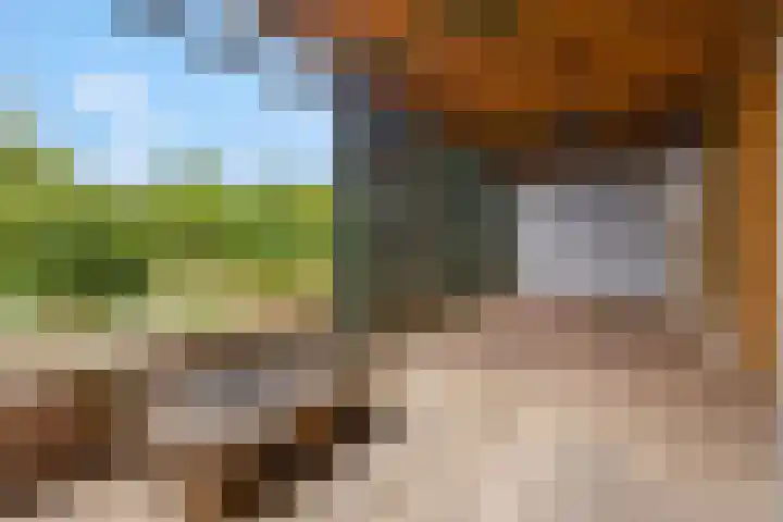 Franseweg 41 Elst Ut thumbnail 28