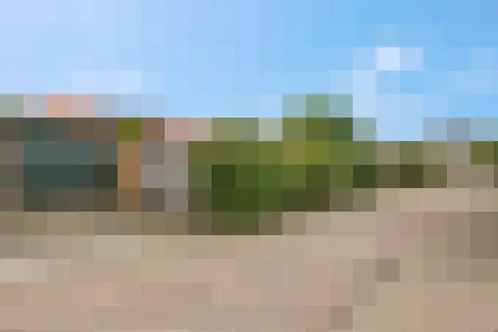 Franseweg 41 Elst Ut thumbnail 29
