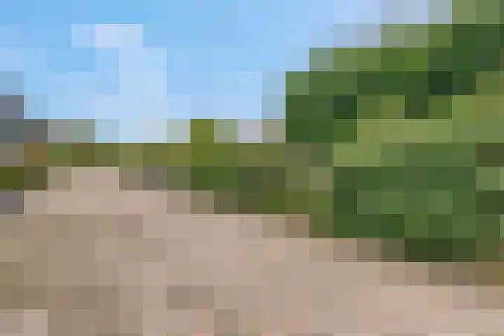 Franseweg 41 Elst Ut thumbnail 30