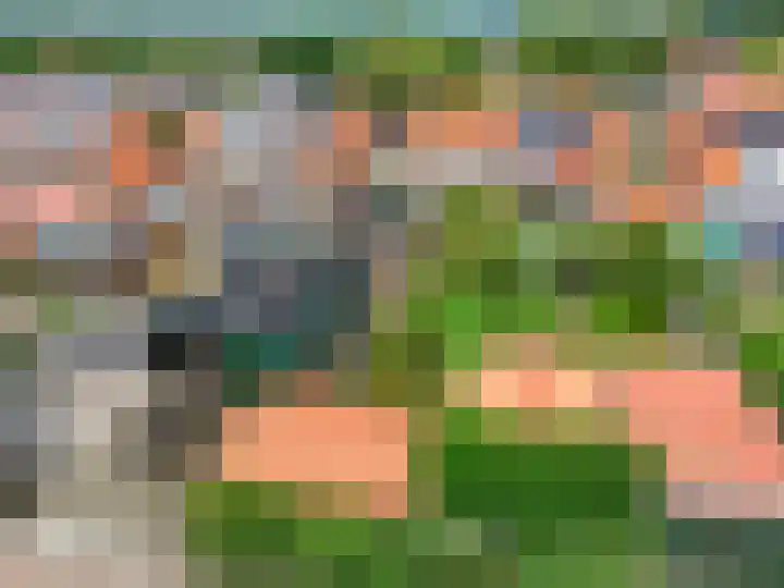 Franseweg 41 Elst Ut thumbnail 31