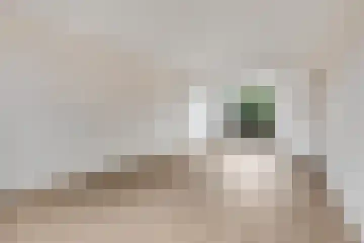 Franseweg 41 Elst Ut thumbnail 7