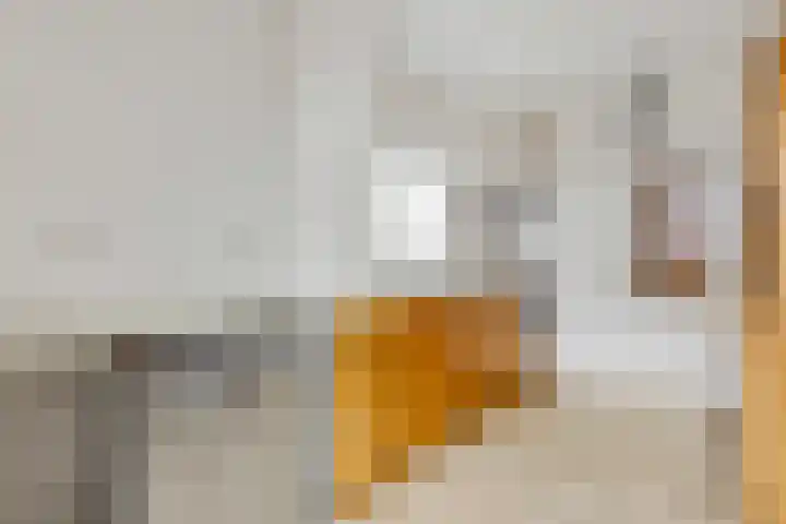 Franseweg 41 Elst Ut thumbnail 9