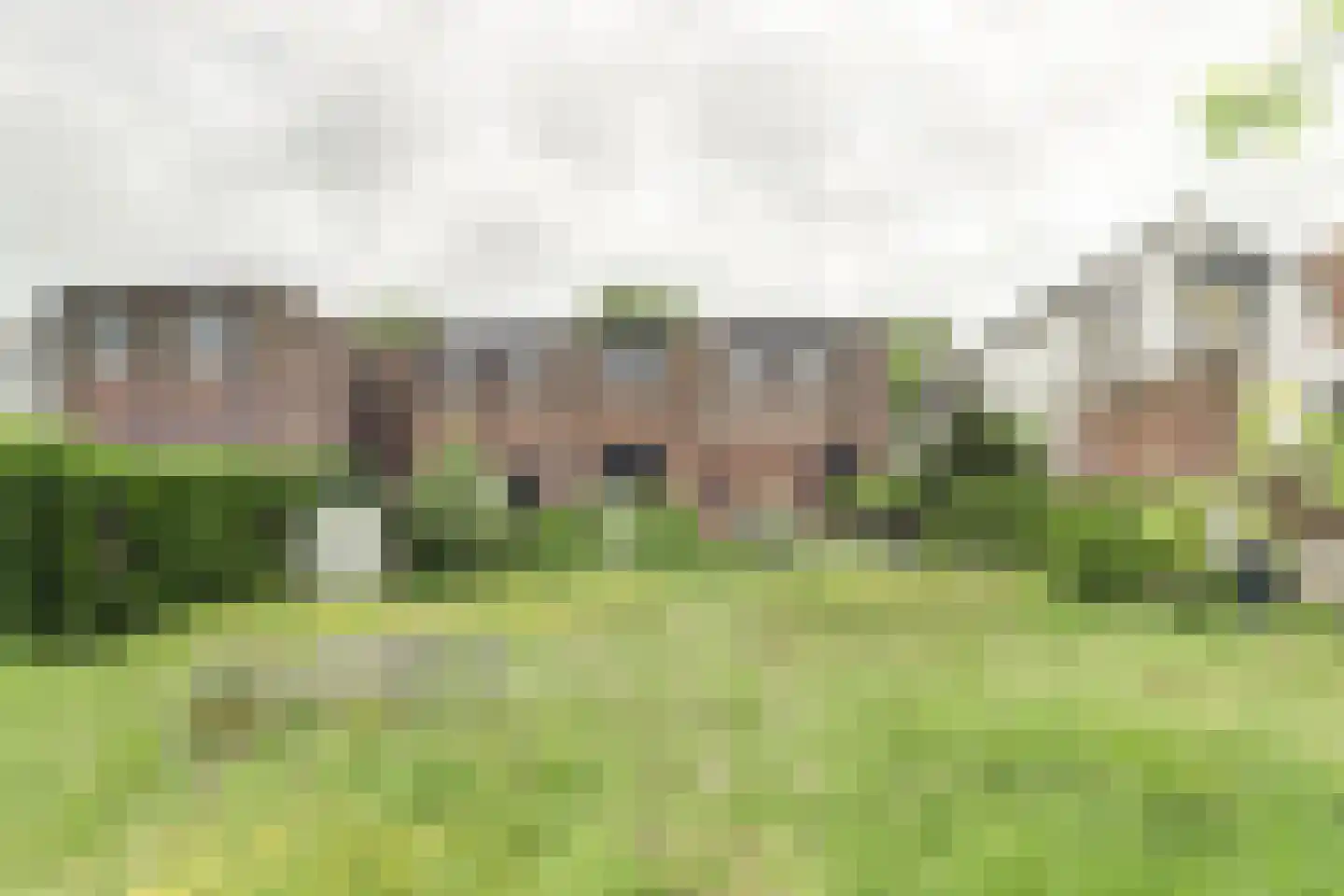 Franseweg 43 Steenbergen thumbnail 38