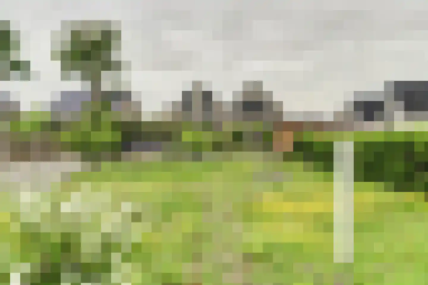 Franseweg 43 Steenbergen thumbnail 5