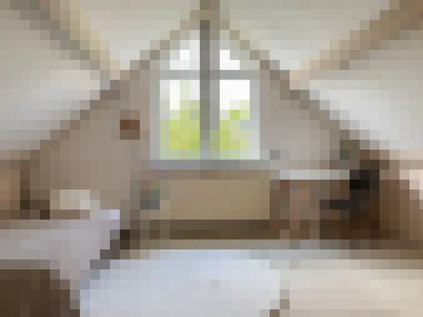 Franseweg 52 A Elst Ut thumbnail 15