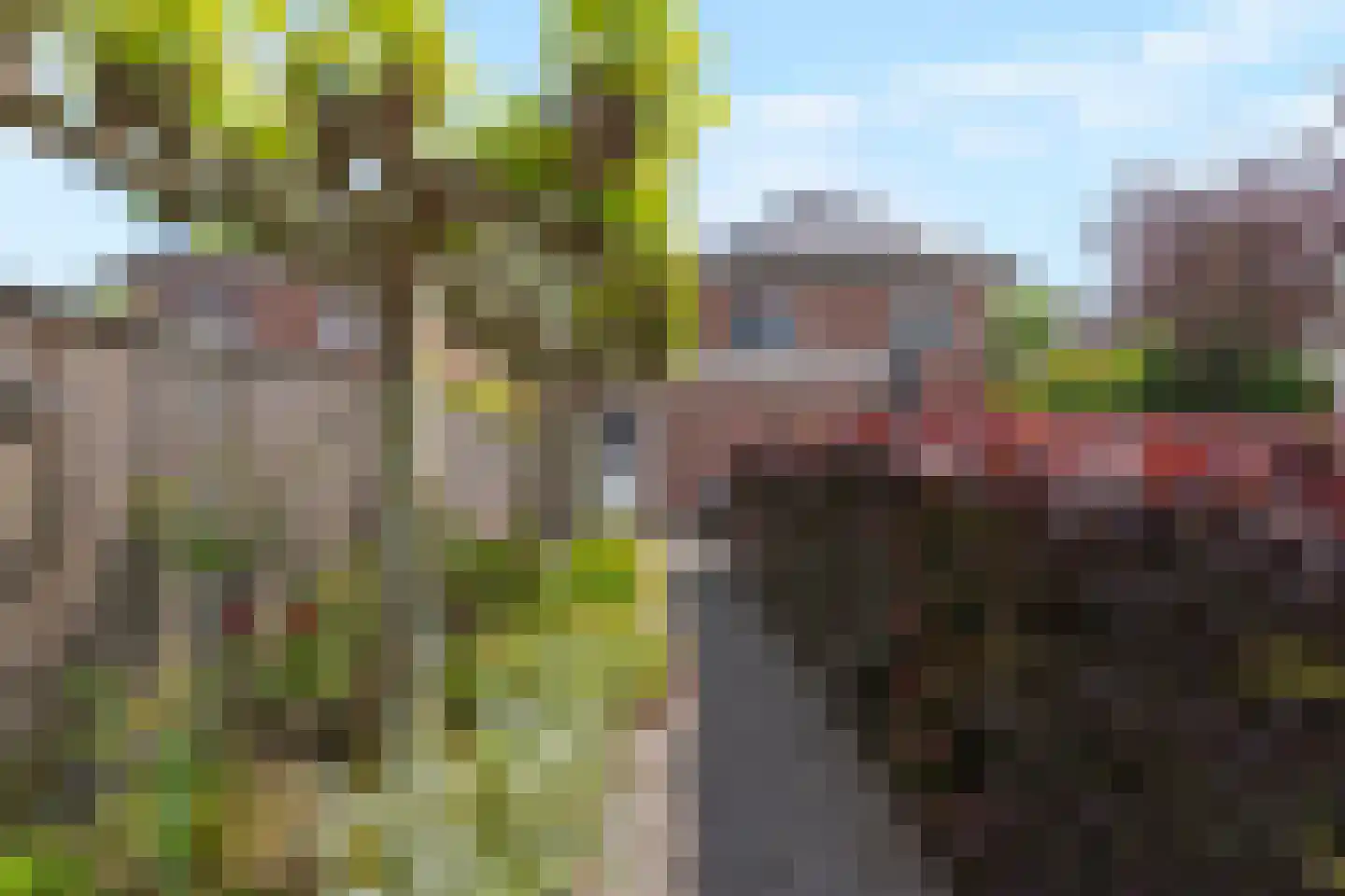 Franseweg 57 b Steenbergen thumbnail 46