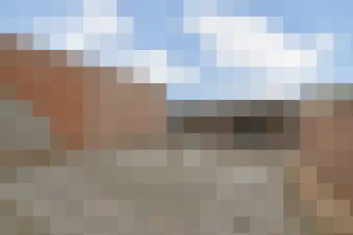 Franseweg 63 Steenbergen thumbnail 14