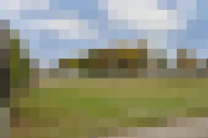 Franseweg 63 Steenbergen thumbnail 22