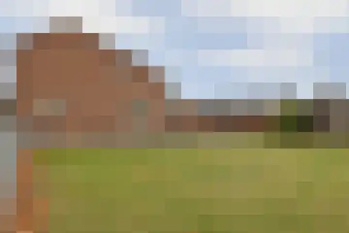 Franseweg 63 Steenbergen thumbnail 23