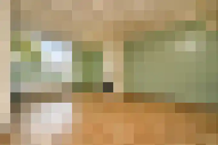 Franseweg 63 Steenbergen thumbnail 9