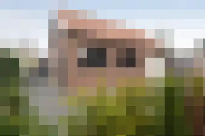 Franseweg 82 Elst Ut thumbnail 39