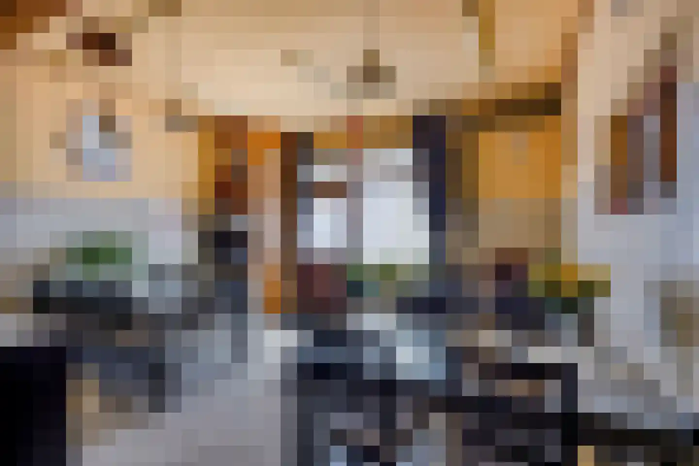 Franseweg 93 Elst Ut thumbnail 16