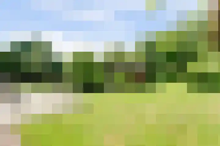Fransewegje 1 Noordgouwe thumbnail 10