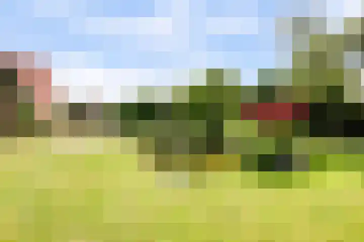 Fransewegje 1 Noordgouwe thumbnail 11