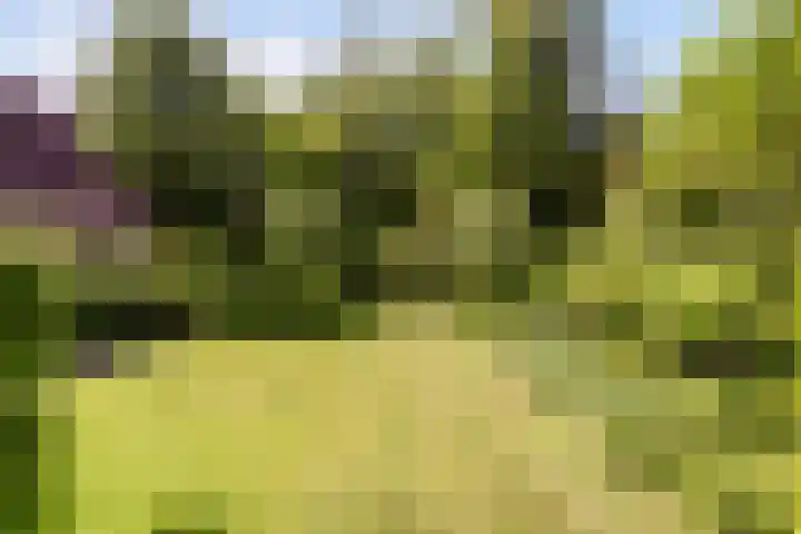 Fransewegje 1 Noordgouwe thumbnail 12