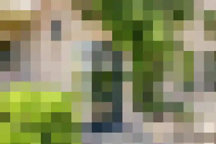 Fransewegje 1 Noordgouwe thumbnail 16