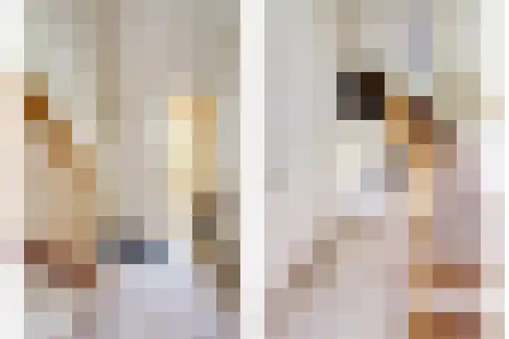 Fransewegje 1 Noordgouwe thumbnail 17
