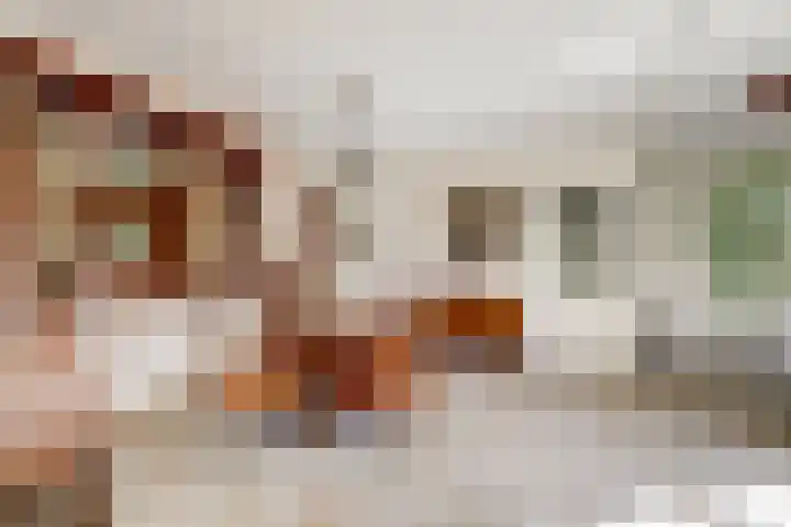 Fransewegje 1 Noordgouwe thumbnail 18