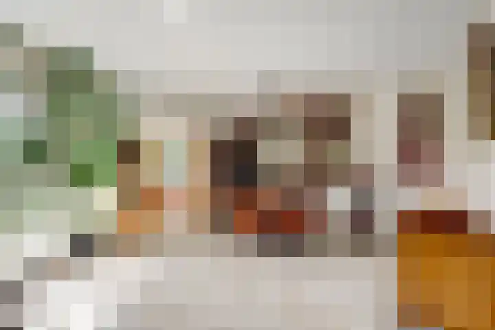 Fransewegje 1 Noordgouwe thumbnail 19