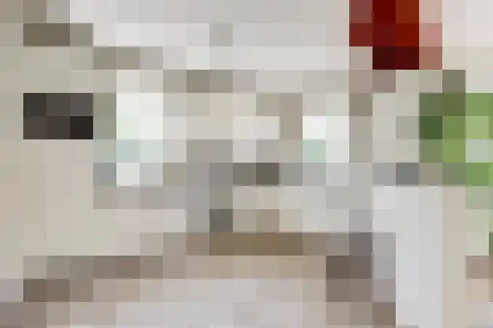 Fransewegje 1 Noordgouwe thumbnail 23