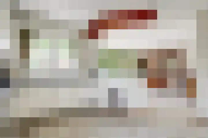 Fransewegje 1 Noordgouwe thumbnail 24