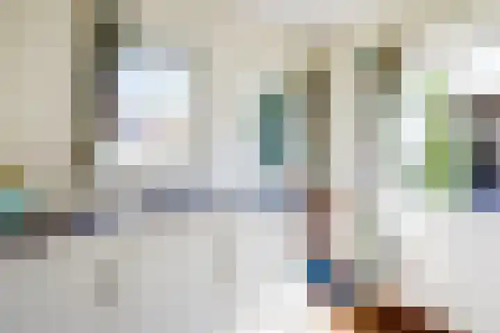 Fransewegje 1 Noordgouwe thumbnail 25