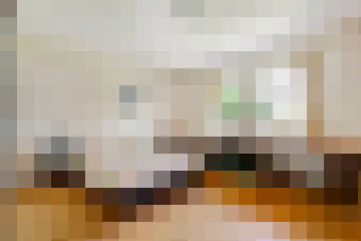 Fransewegje 1 Noordgouwe thumbnail 28
