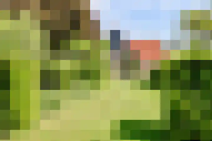 Fransewegje 1 Noordgouwe foto 3