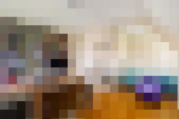 Fransewegje 1 Noordgouwe thumbnail 32