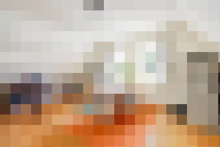 Fransewegje 1 Noordgouwe thumbnail 33